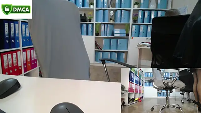secret-office Webcam show