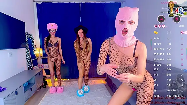 mikkixmeown Webbikameraesitys
