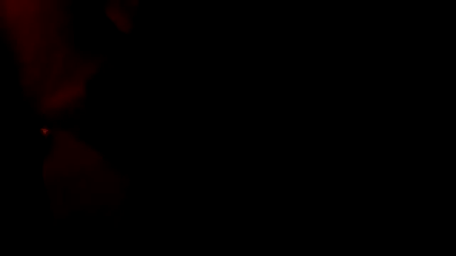 PrinceNoAlbert Webcam-Show