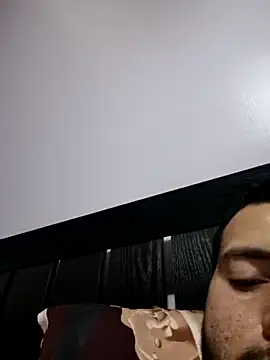 VAMOUS_n Webbikameraesitys