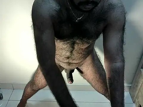 Show Webcam de alexcsp