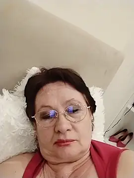 Show Webcam de SalientClean