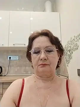 Show Webcam de SalientClean
