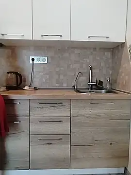 Show webcam de SalientClean