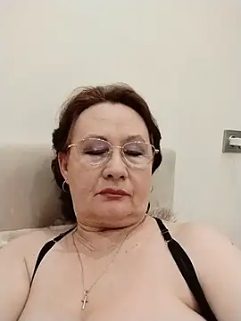 Show Webcam de SalientClean