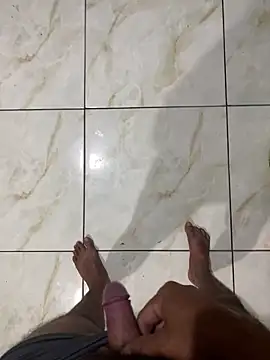 Show de webcam de cf27