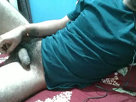 Show webcam de Precumboner