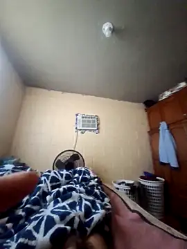 Play_boys Pertunjukan Webcam