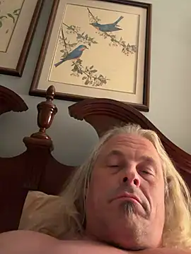 zeus337 webkamerás műsora
