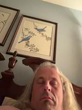 عرض كام zeus337