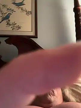 zeus337 Show in webcam