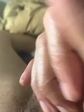 Ce3003 网络视讯表演