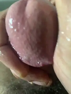 Ce3003 Show in webcam