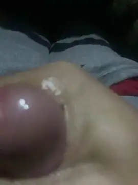 Show webcam de Ce3003