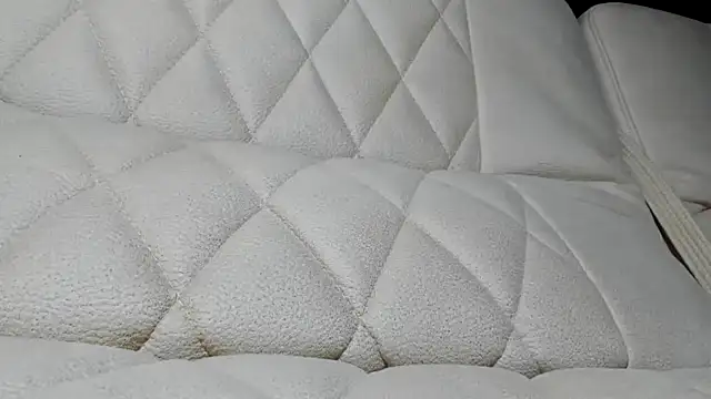 StarryHannaのウェブカメラショー