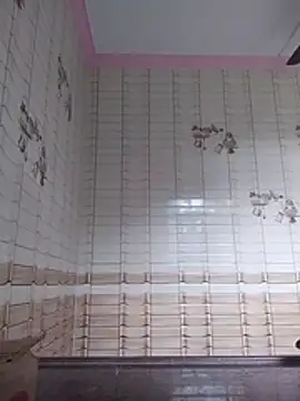 dzboy1994 Show Webcam