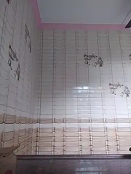 dzboy1994 Webcamshow