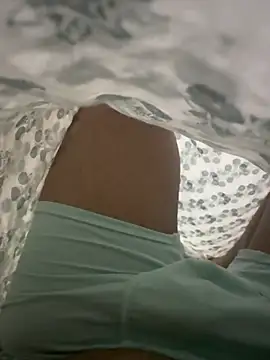 AwesomeBrawl 웹캠 쇼