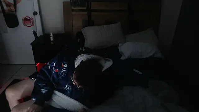 Brisbear's Webcam Show