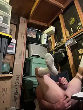 11lanasevol Show Webcam