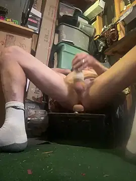 Show Webcam de 11lanasevol