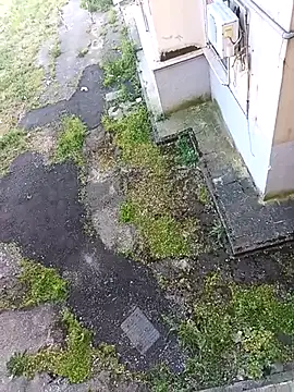 Pilastrocaldo91 webcam show