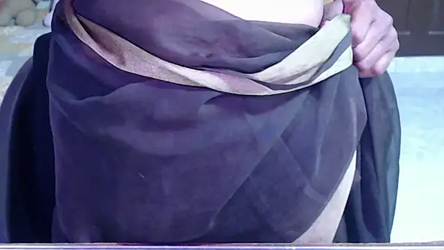 Show Webcam de Novapol11