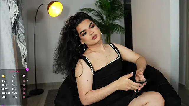 Show Webcam de artechloe