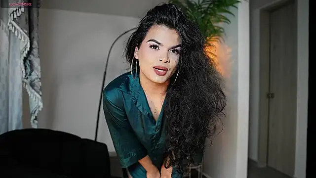 Show Webcam de artechloe