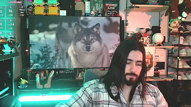 Valtook Show Webcam