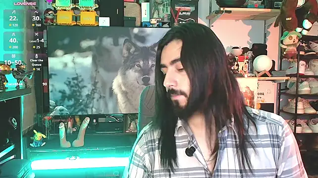 Valtook Show Webcam