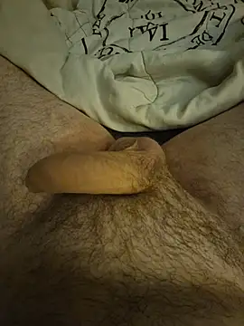 عرض كام BilboSake