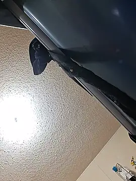 Show webcam de bushhogger8371