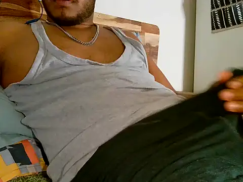 Professor_Pie's Webcam Show