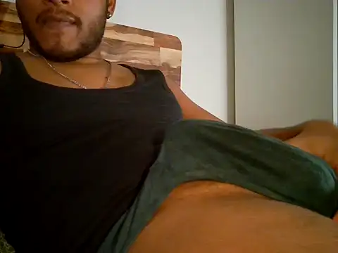 Professor_Pie's Webcam Show
