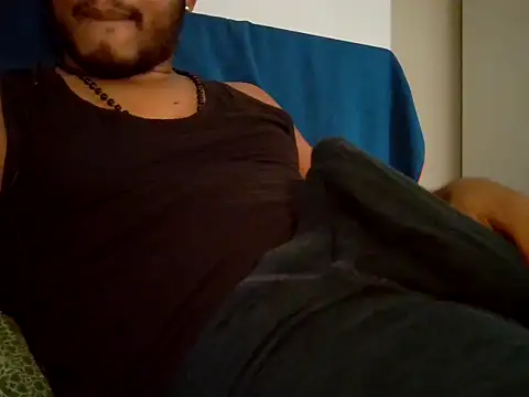 Professor_Pie's Webcam Show