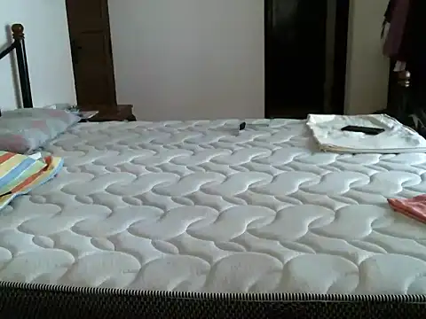 ZEXT Show Webcam