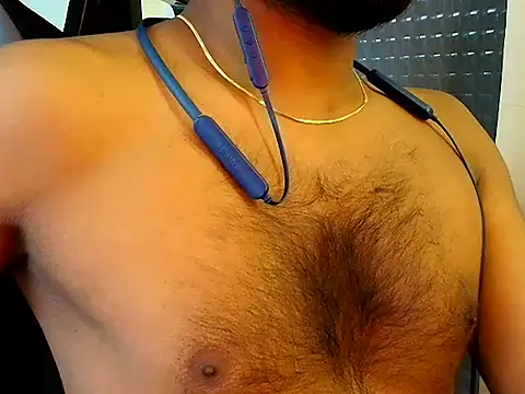 SilverShade3 Show in webcam