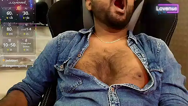 SilverShade3 Show in webcam
