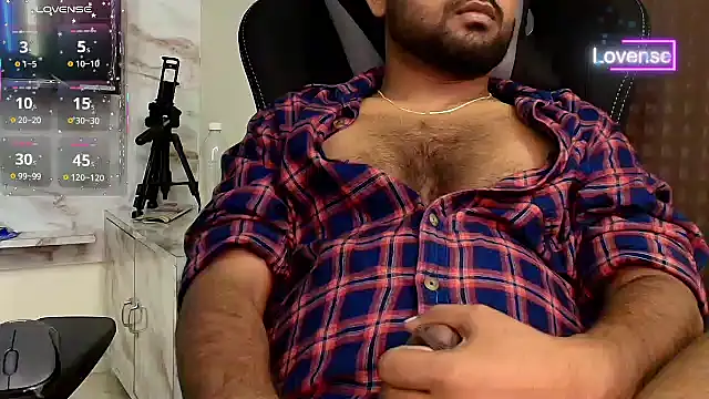 SilverShade3 Show Webcam