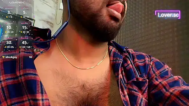 Show webcam de SilverShade3