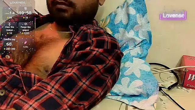 SilverShade3 Show in webcam