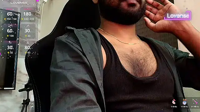 SilverShade3 Show Webcam