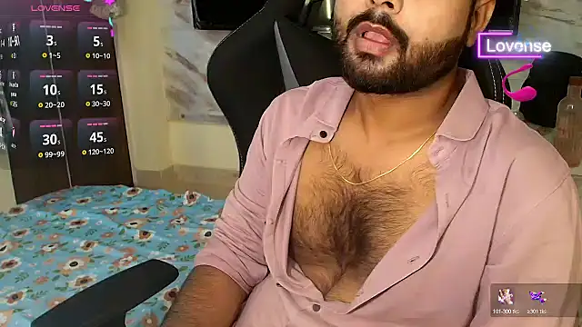 SilverShade3 Show in webcam