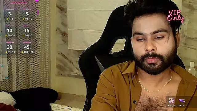 Silvershadde Webcam-Show