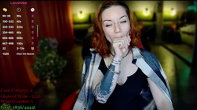 הופעת וובקאם של MaxPhoenixx