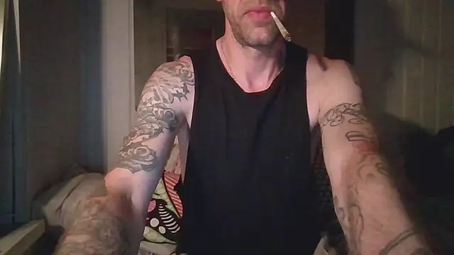 Stock-Holmes Webcam Show