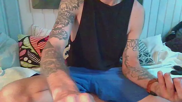 Stock-Holmesn Webbikameraesitys