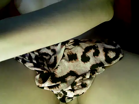 Show de trans_ativa_rj na webcam