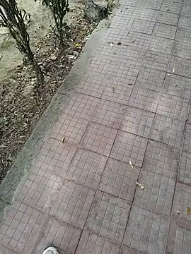 FuckingMunna ওয়েবক্যাম শো